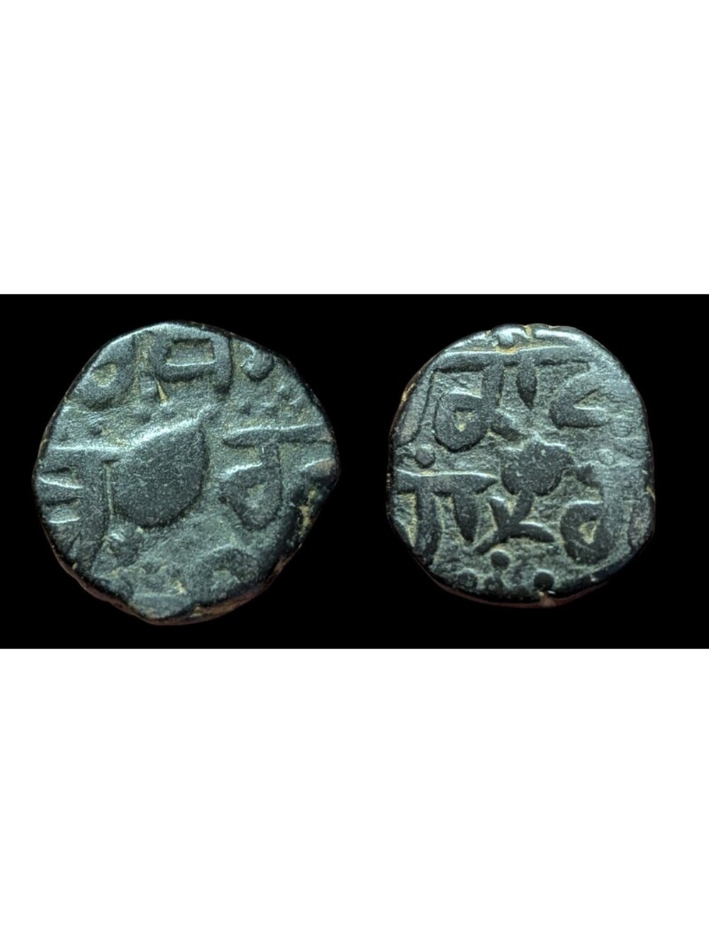 India Punjab Sikh Empire Real Copper paisa Flower Variety Rare